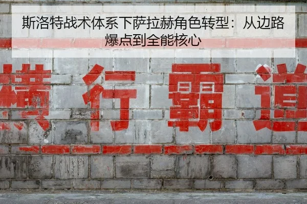 si-luo-te-zhan-shu-ti-xi-xia-sa-la-he-jue-se-zhuan-xing-cong-bian-lu-bao-dian-dao-quan-neng-he-xin-2-965.jpg