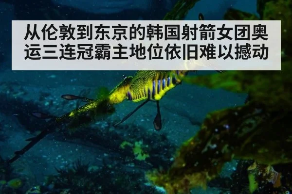 从伦敦到东京的韩国射箭女团奥运三连冠霸主地位依旧难以撼动